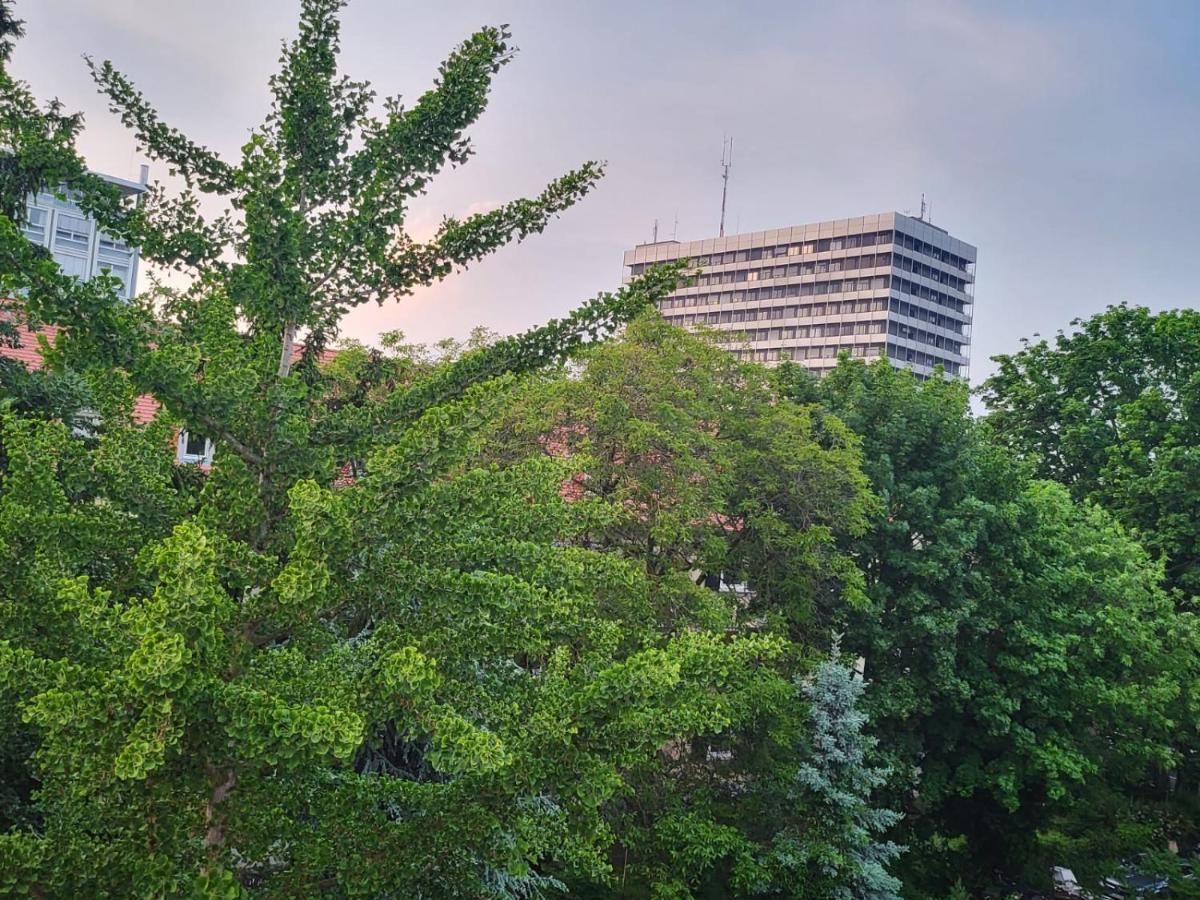 Appartement Privatzimmer An Der Uniklinik Mainz - Nur Fuer Weibliche Gaeste Extérieur photo